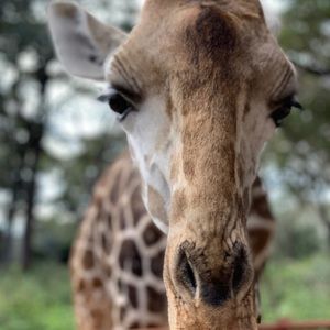 Meet your Posher, Danielle